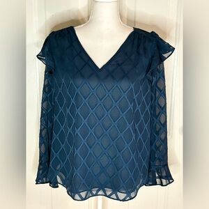 Ann Taylor Lattice Sheer Statement Sleeves Bluish color Blouse size M